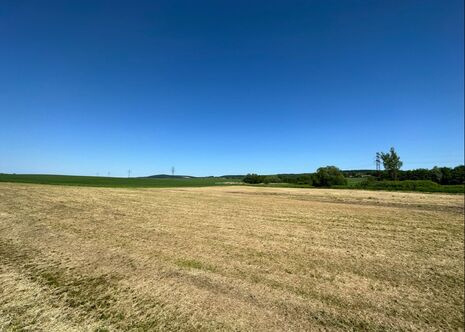 Golden Fields of the Vistula Valley A road bike path stretching through vast golden wheat fields under a bright sunny sky near Krakow
