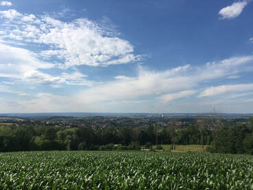 Scenic road cycling route through rolling green fields and meadows in the countryside outside of Krakow