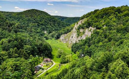 Winding forest road deep within the Jurassic valleys of Ojców National Park.